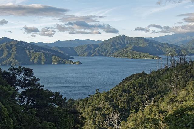 Discover the Top Beaches in New Zealand: A Guide to Sun-Kissed Shores and Scenic Views
